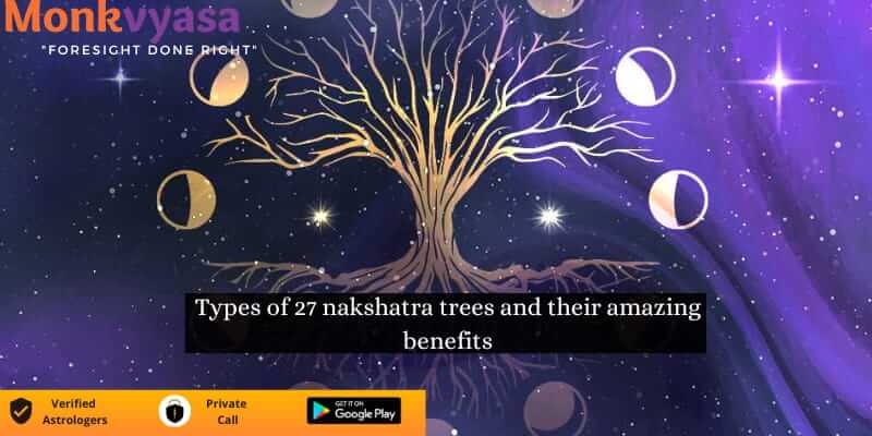 https://www.monkvyasa.com/public/assets/monk-vyasa/img/27 Nakshatra Trees.jpg